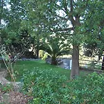 Orama