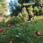 Orama Vasilika (Evia)