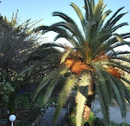 Orama Vasilika (Evia)