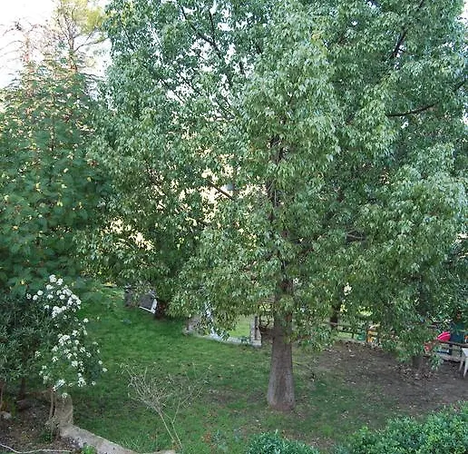 Orama 2* Vasilika (Evia)