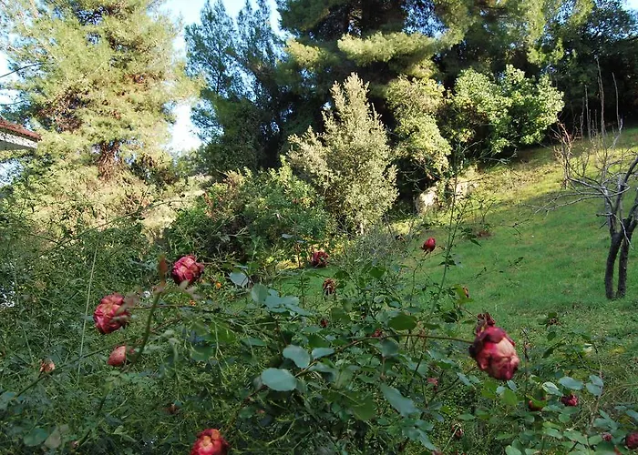 Orama Vasilika (Evia)