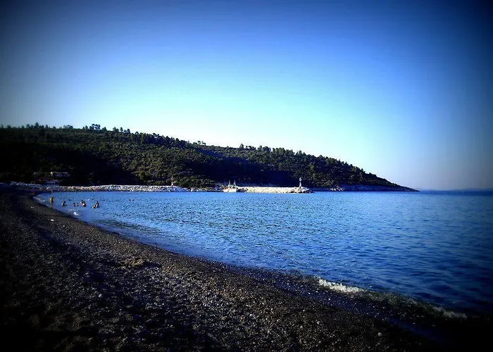 Guest house Orama 2*